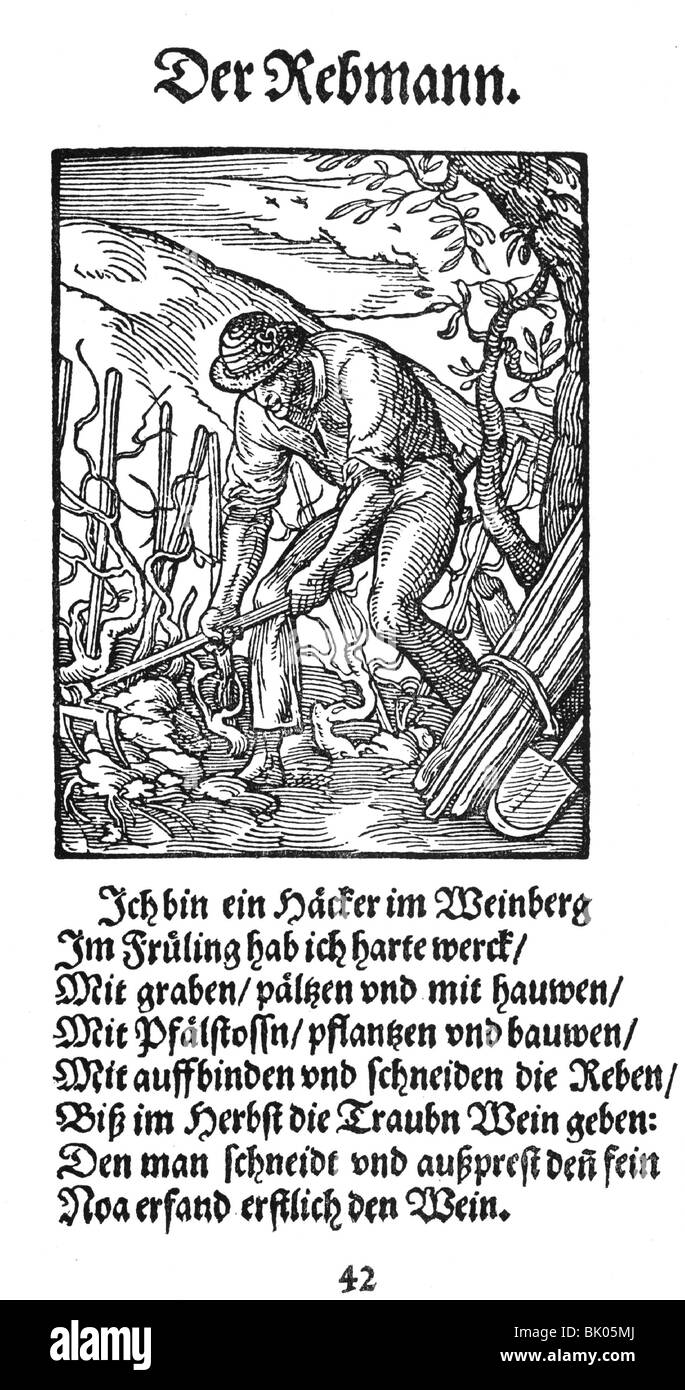 agriculture, wine-grower working at his vineyard, woodcut, 'Staendebuch' by Jost Amman,Frankfurt am Main, 1568, with verse by Hans Sachs, , Stock Photo