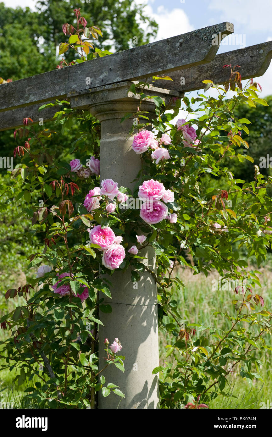 The Rose Garden at Coughton Court home of the Throckmorton family in