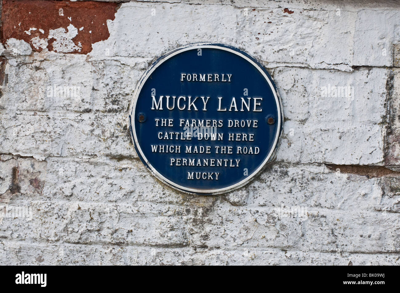 Buckton east yorkshire hi-res stock photography and images - Alamy