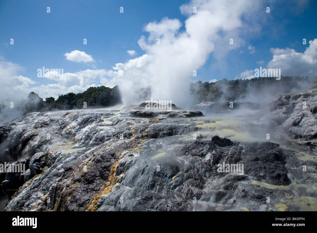 Pōhutu Geyser Exploding Maori rotorua new zealand hi-res stock photography and images - Alamy