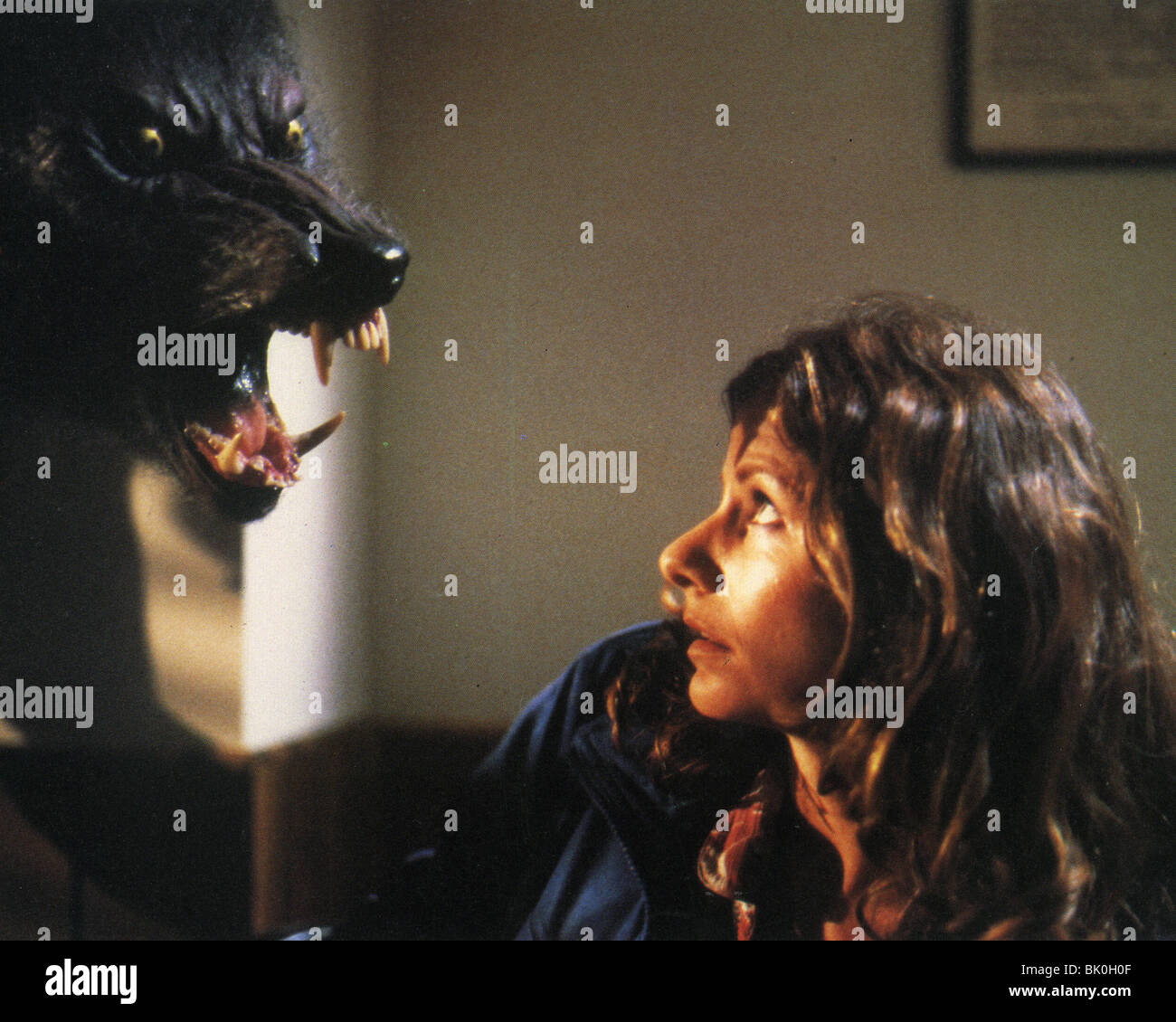 THE HOWLING -  1980 Avco Embassy film with Dee Wallace Stock Photo