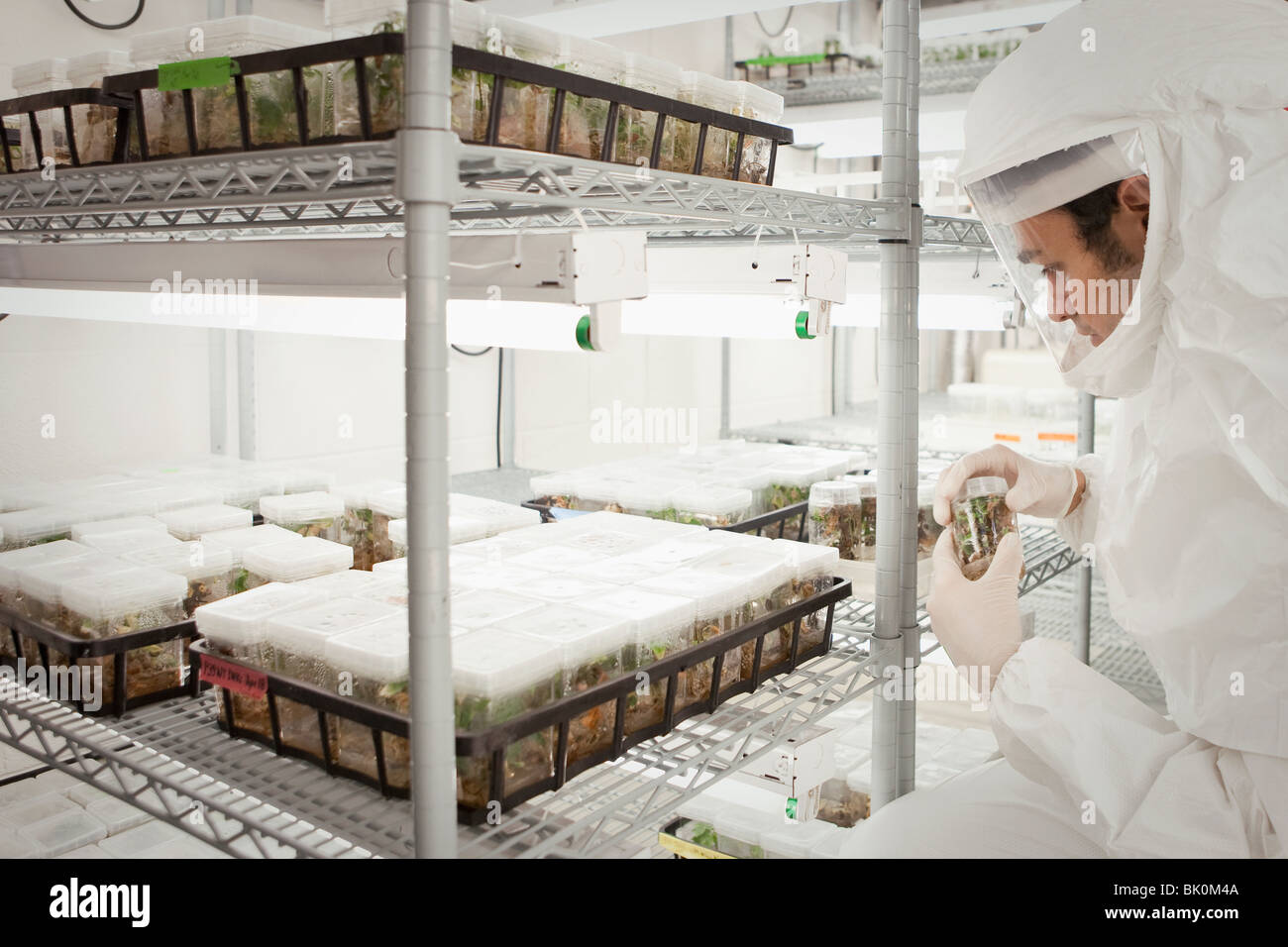 Middle Eastern scientist in clean suit in laboratory Stock Photo Alamy