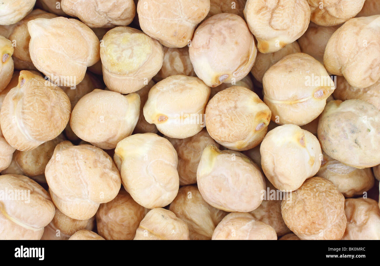 Close view of garbanzo beans Stock Photo