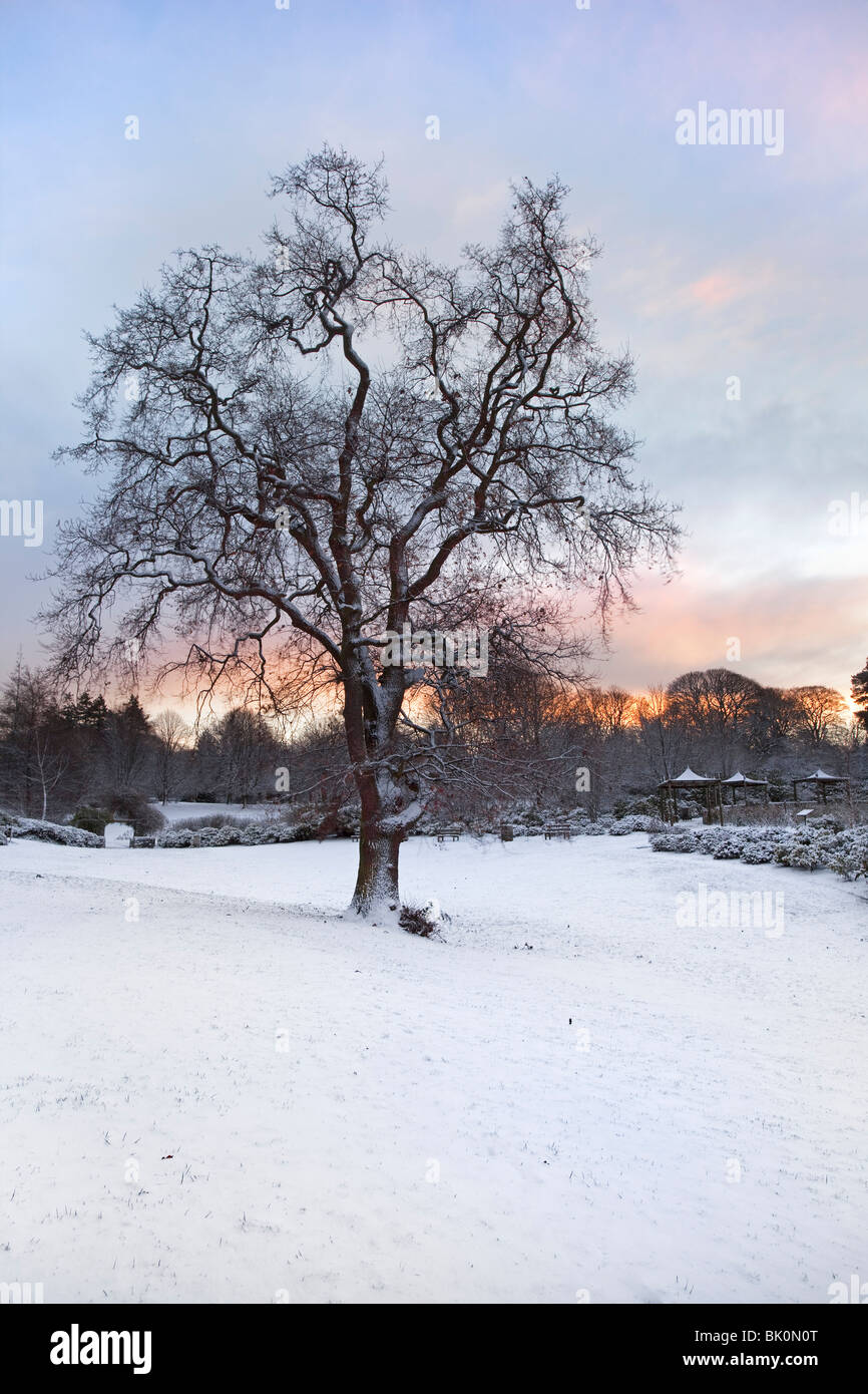 Snow scene at Lady Dixon Park, Belfast. Stock Photo