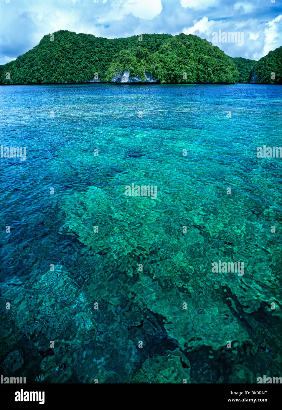 Coral reef, marine reserve, Rock Islands, Palau Stock Photo