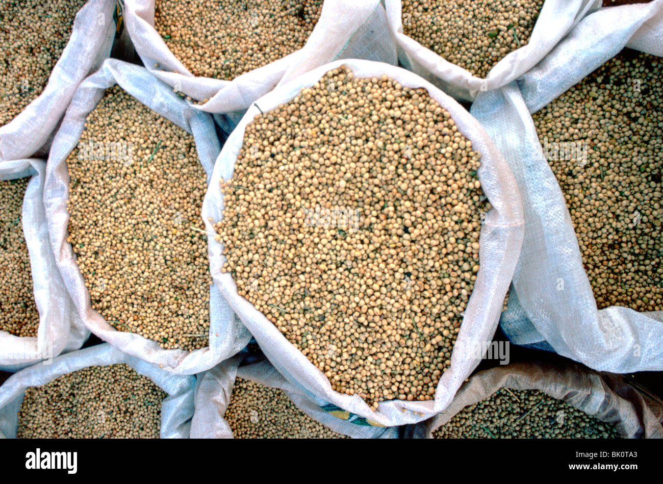 Sacks of soya beans, Brazil Stock Photo Alamy