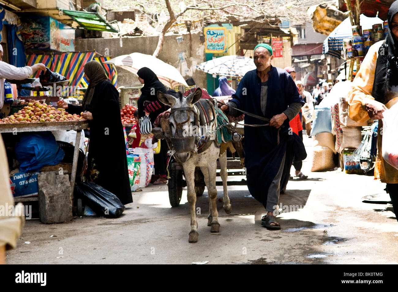 Donkey cart in streets hi-res stock photography and images - Alamy