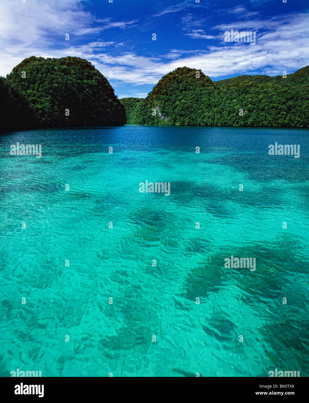 Lagoon, Rock Islands, Palau Stock Photo