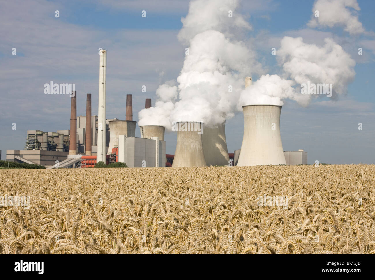 Power plant with a corn field Stock Photo