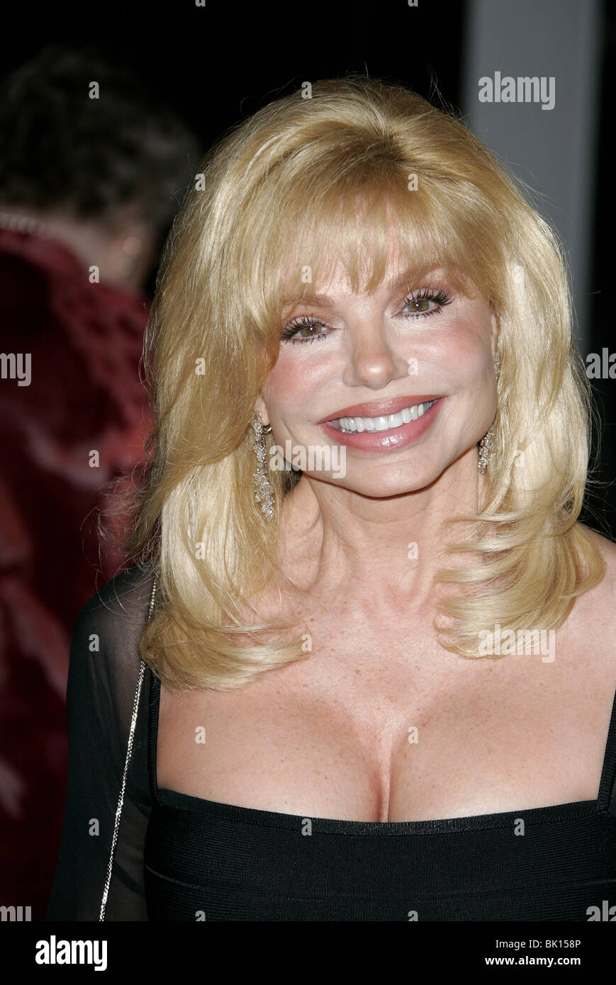 LONI ANDERSON 8TH COSTUMWE DESIGNERS GUILD AWARDS BEVERLY HILLS CALIFORNIA USA 25 February 2006 Stock Photo