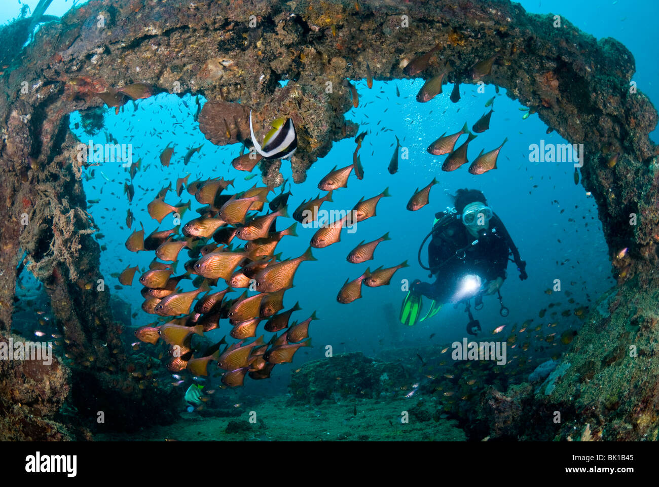 Scuba diver exploring Boonsoon wreck, Thailand, Andaman Sea Stock Photo
