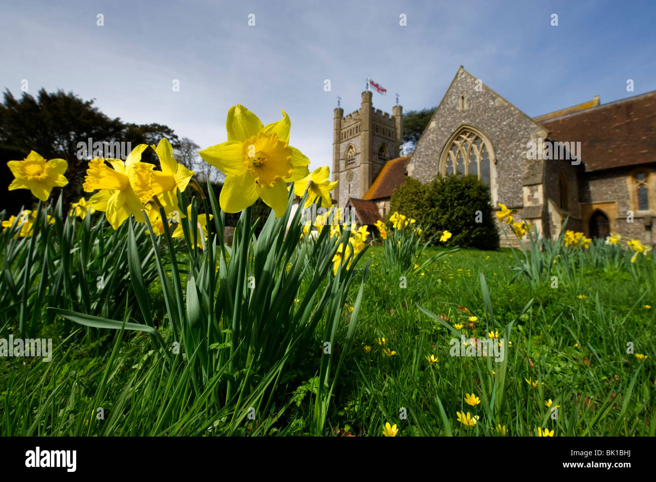 Churchyard Spring daffodils in the grounds of St Mary the Virgin parish church Hambleden Buckinghamshire UK Stock Photo