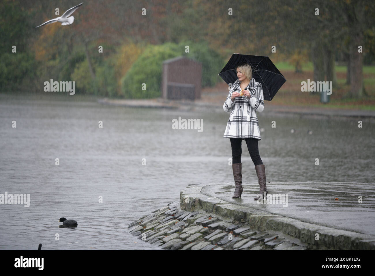 A woman alone in a park feeding birds in the rain Stock Photo Alamy