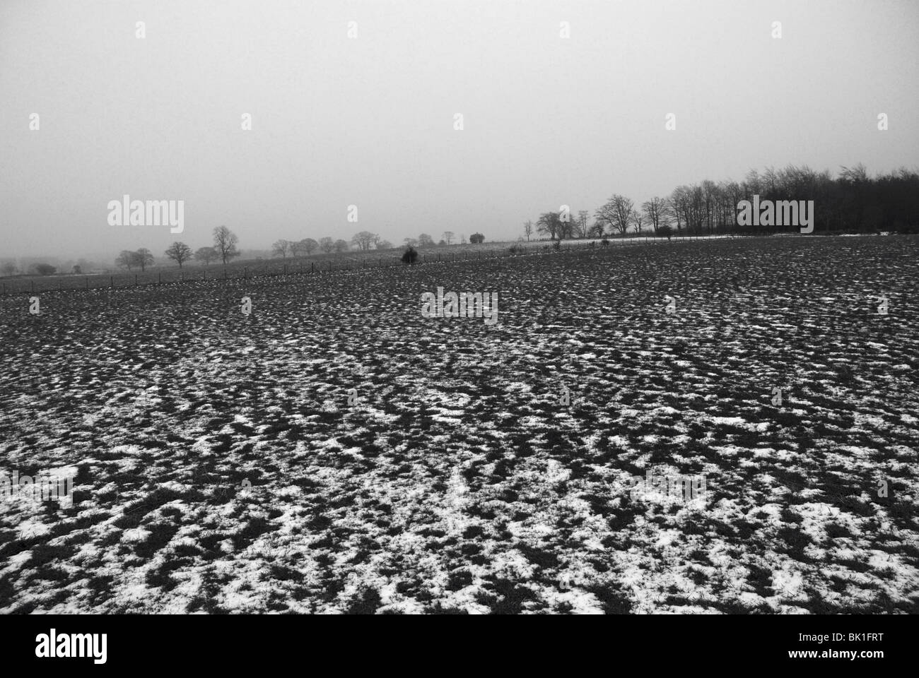 Winter landscape in Northumberland Stock Photo