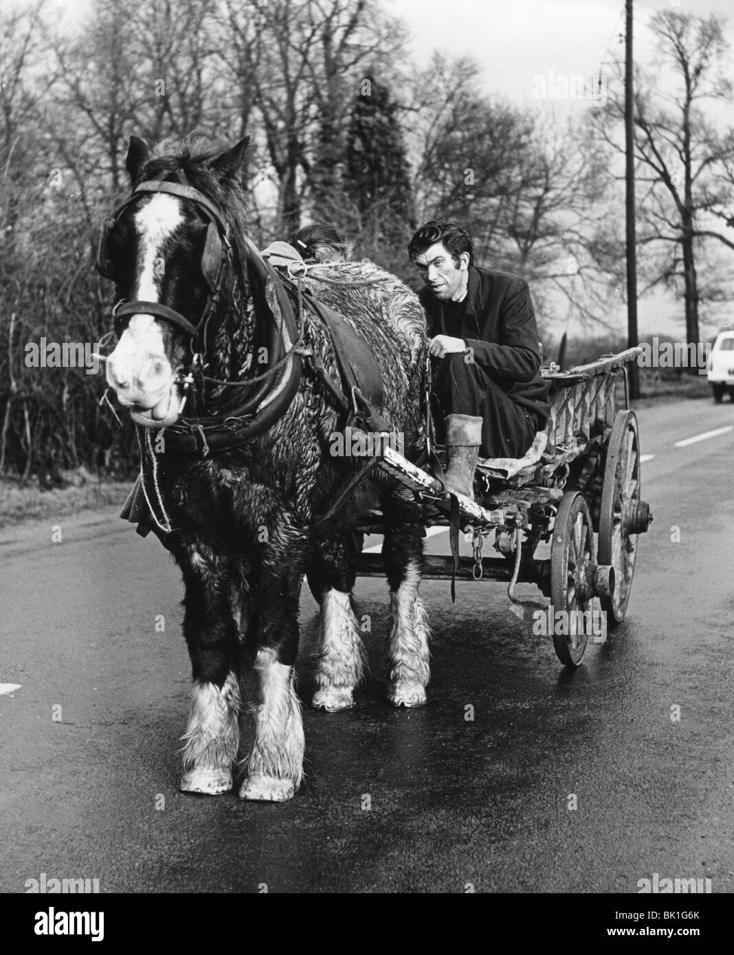 Gypsy man with horse and cart, 1960s. Stock Photo