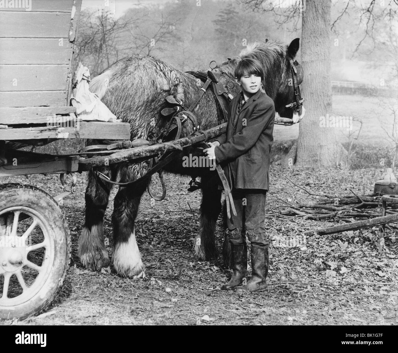 Young gypsy with a horse, 1960s. Stock Photo