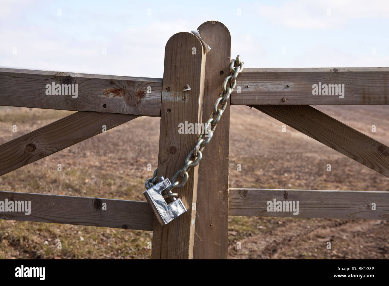 Gate with a large padlock, Hampshire, England. Stock Photo