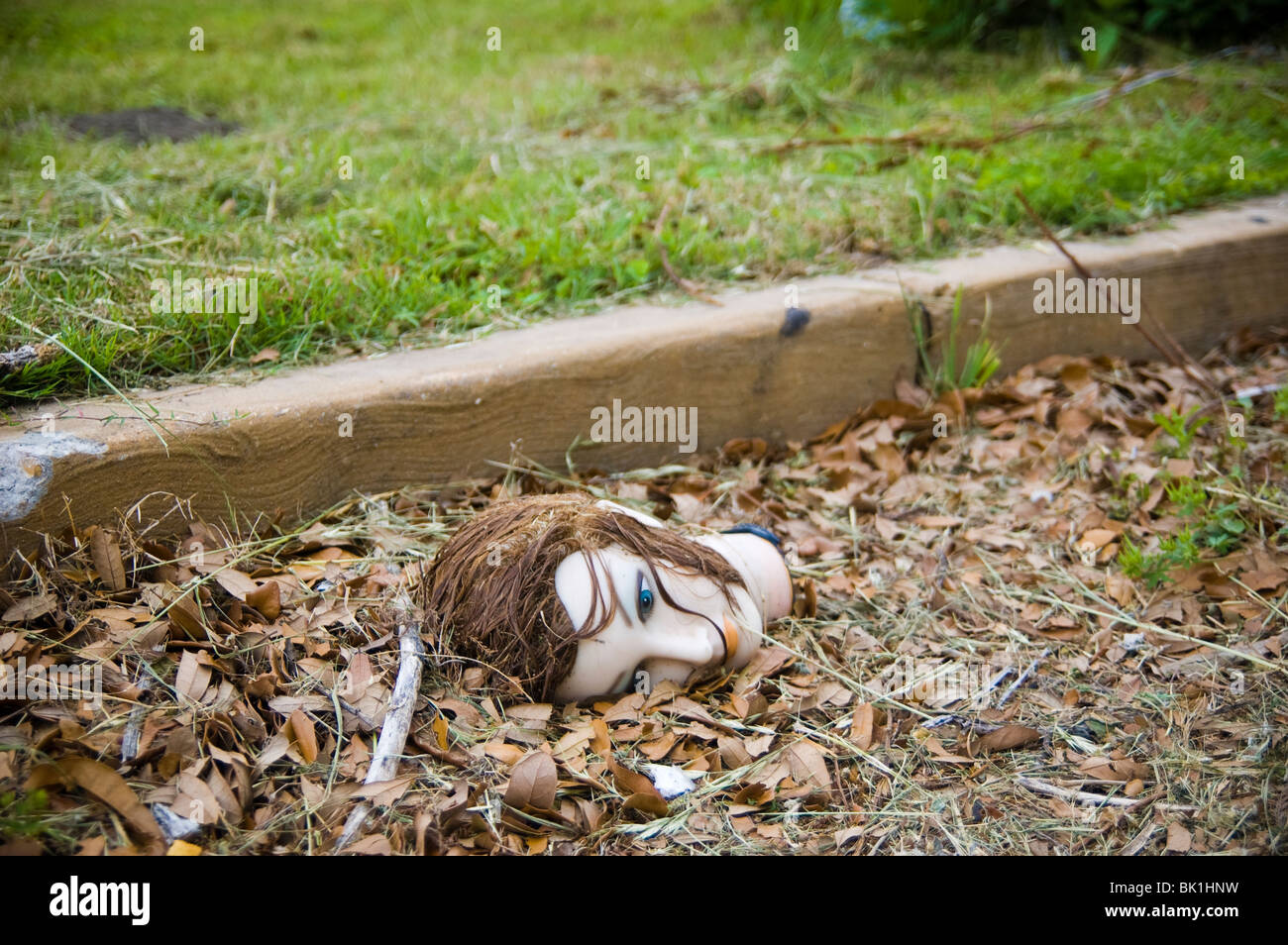 A mannequin head lies near a curb covered in leaves. Stock Photo