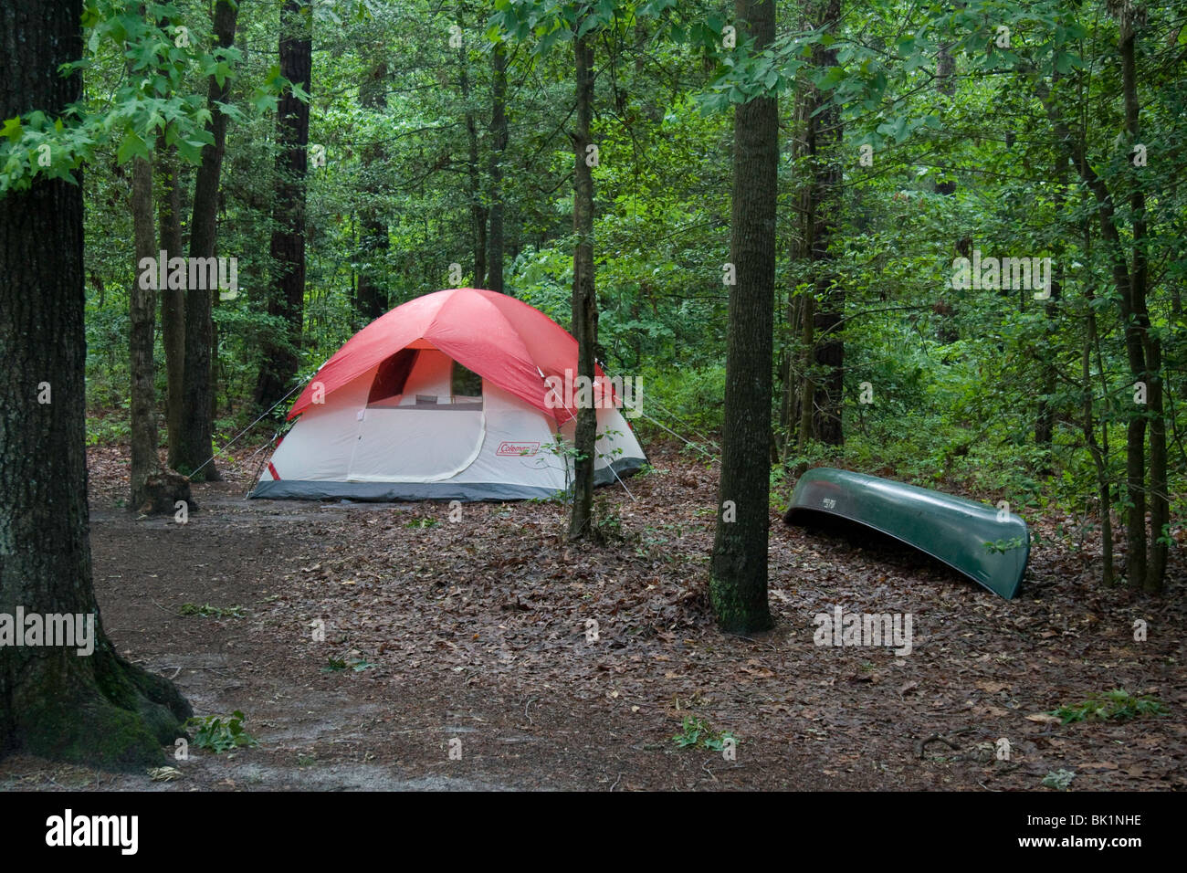 A Tent On A Campsite In Trap Pond State Park Laurel Delaware Stock Photo Alamy