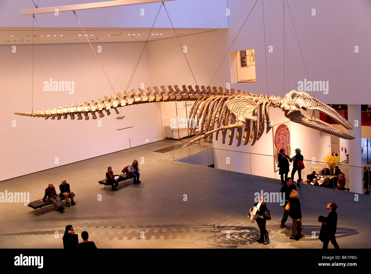 Mobile Matrix, 2006, Graphite on gray whale skeleton, Gabriel Orozco, MOMA Stock Photo