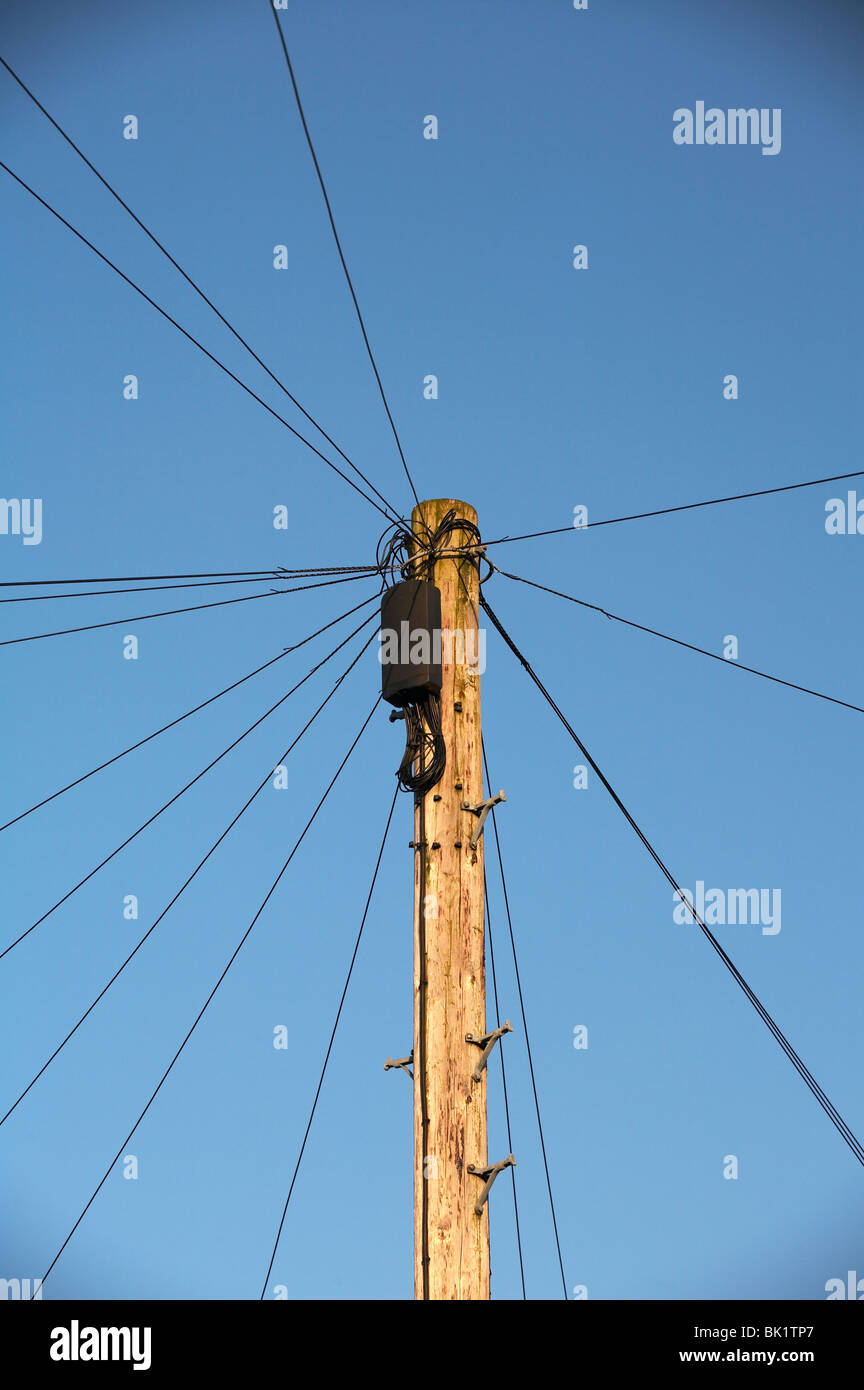 Telegraph pole with juction box isolated against blue sky Stock Photo