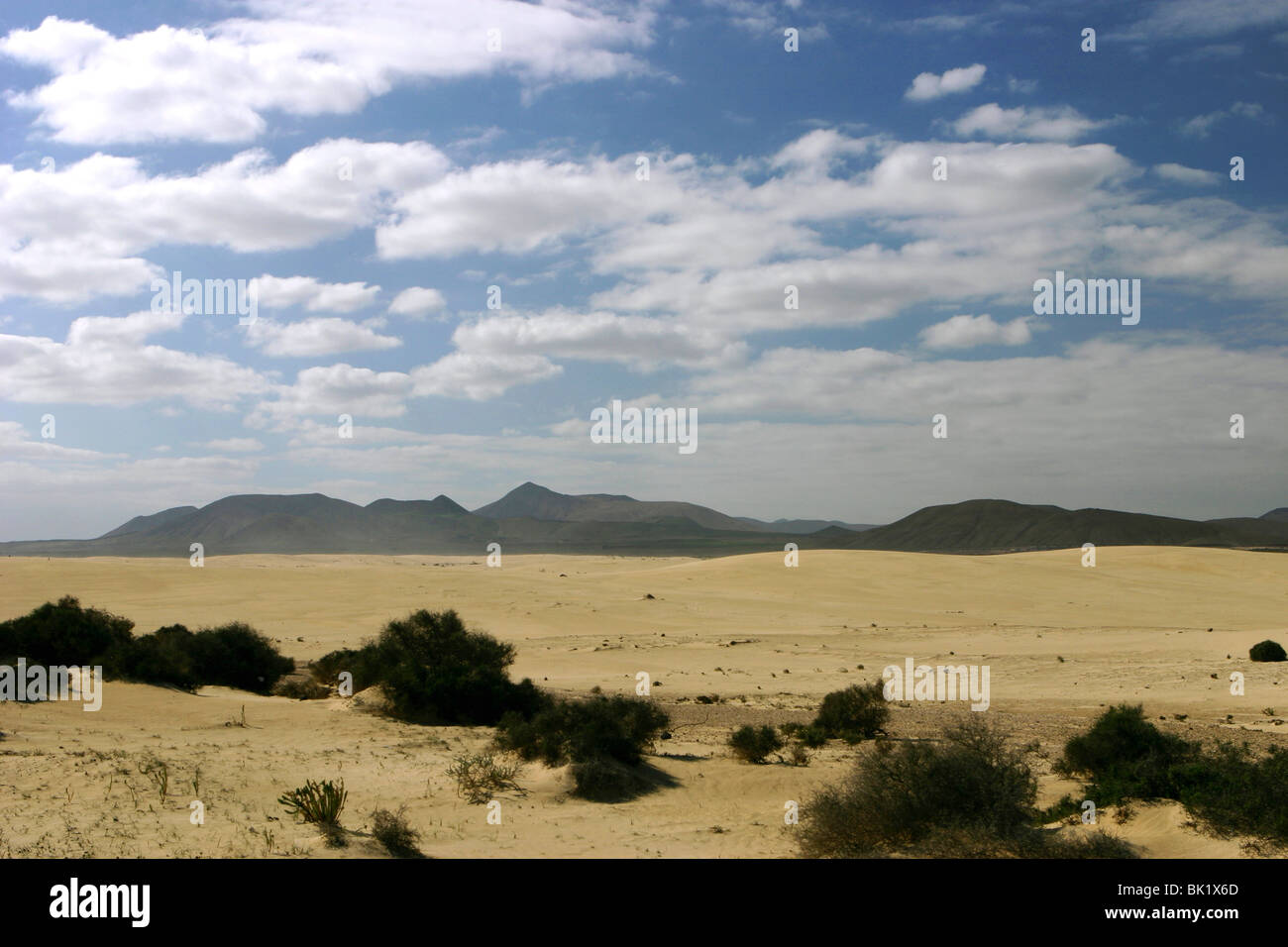 Sand Dunes, Corralejo, Fuerteventura, Canary Islands. Stock Photo