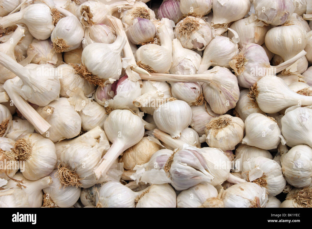 Garlic bulbs on a market stall, Mallorca, Spain Stock Photo Alamy