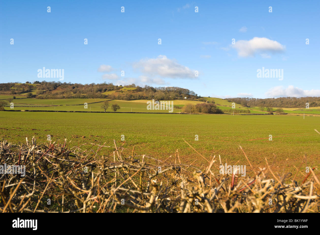 Rolling Countryside Herefordshire UK Stock Photo