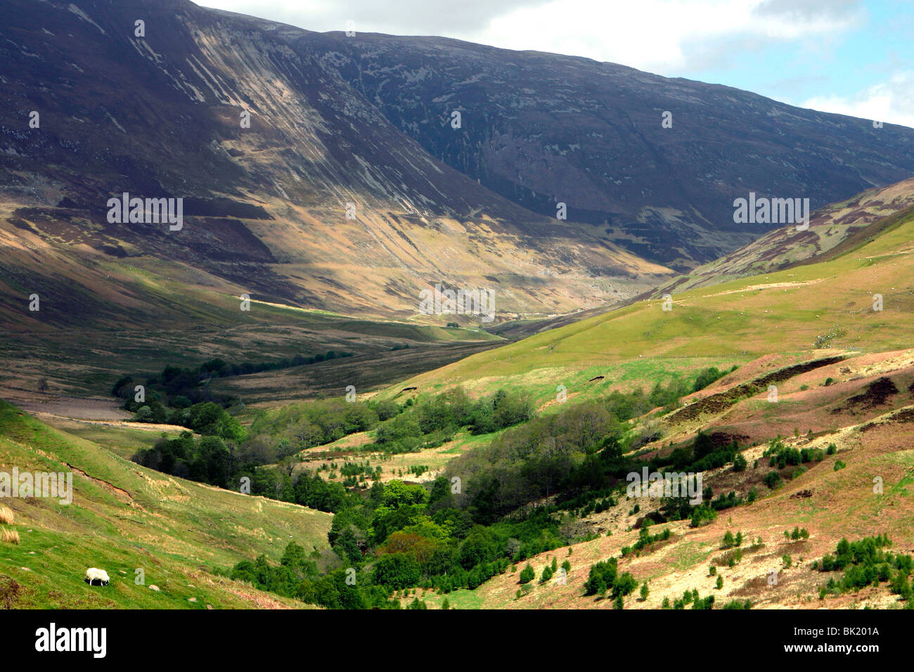 Glen Roy, Highland, Scotland. Stock Photo