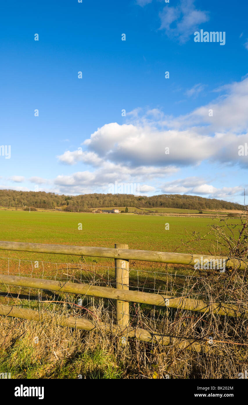 Rolling Countryside Herefordshire UK Stock Photo