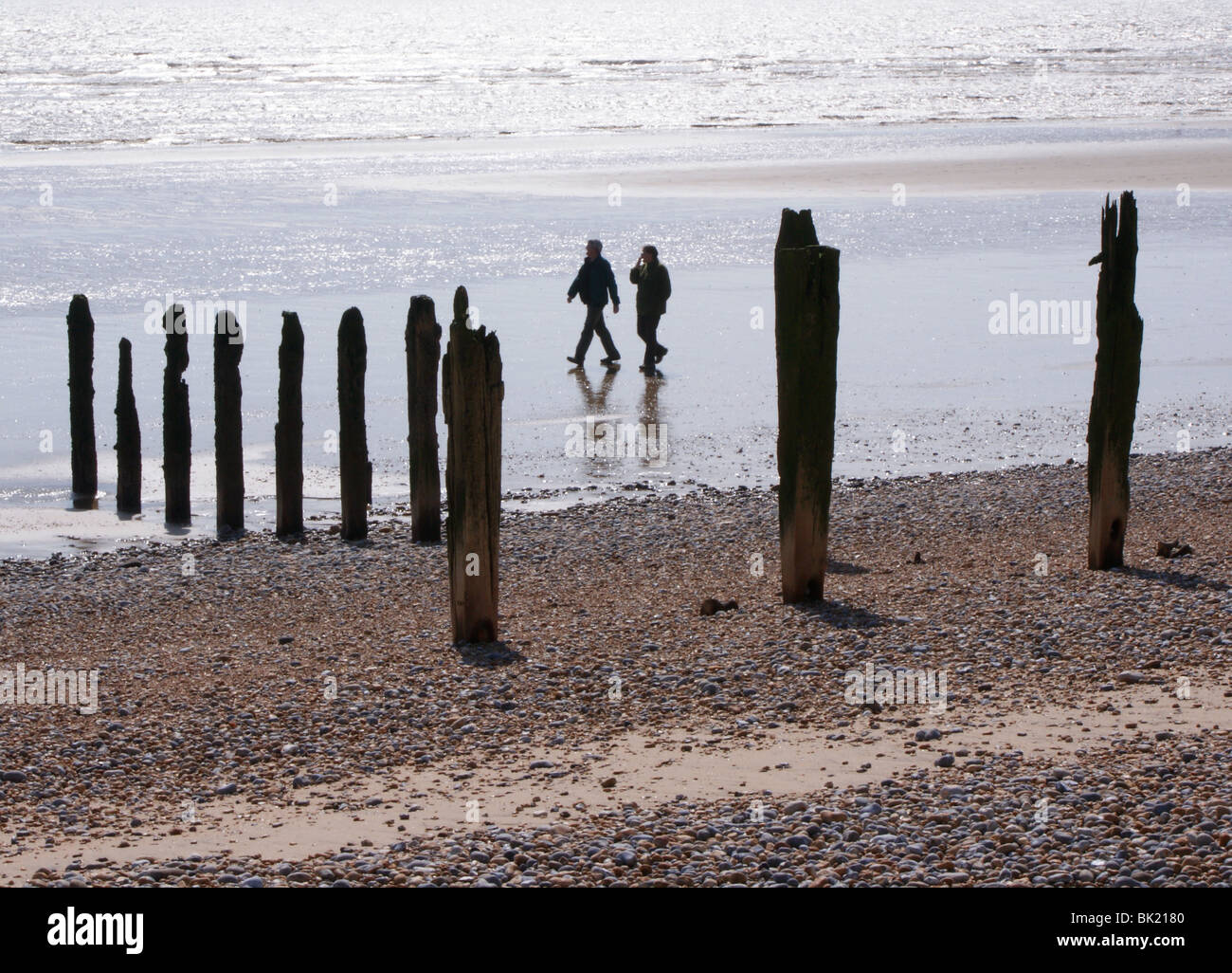 Two people in the distance walking on a beach in East Sussex. The upright wooden posts are the remains of old sea defences. Stock Photo