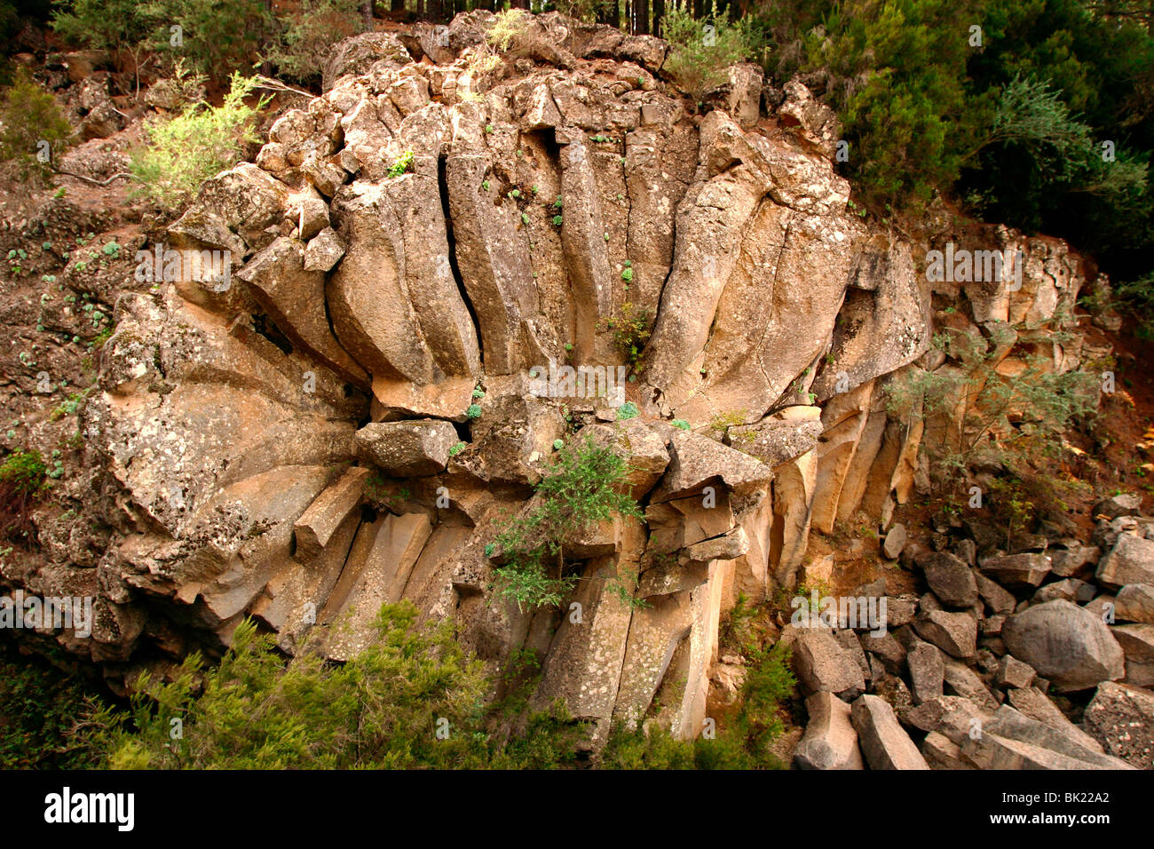 Rosa de Piedra (stone rose), rock formation, Tenerife, Canary Islands, 2007. Stock Photo