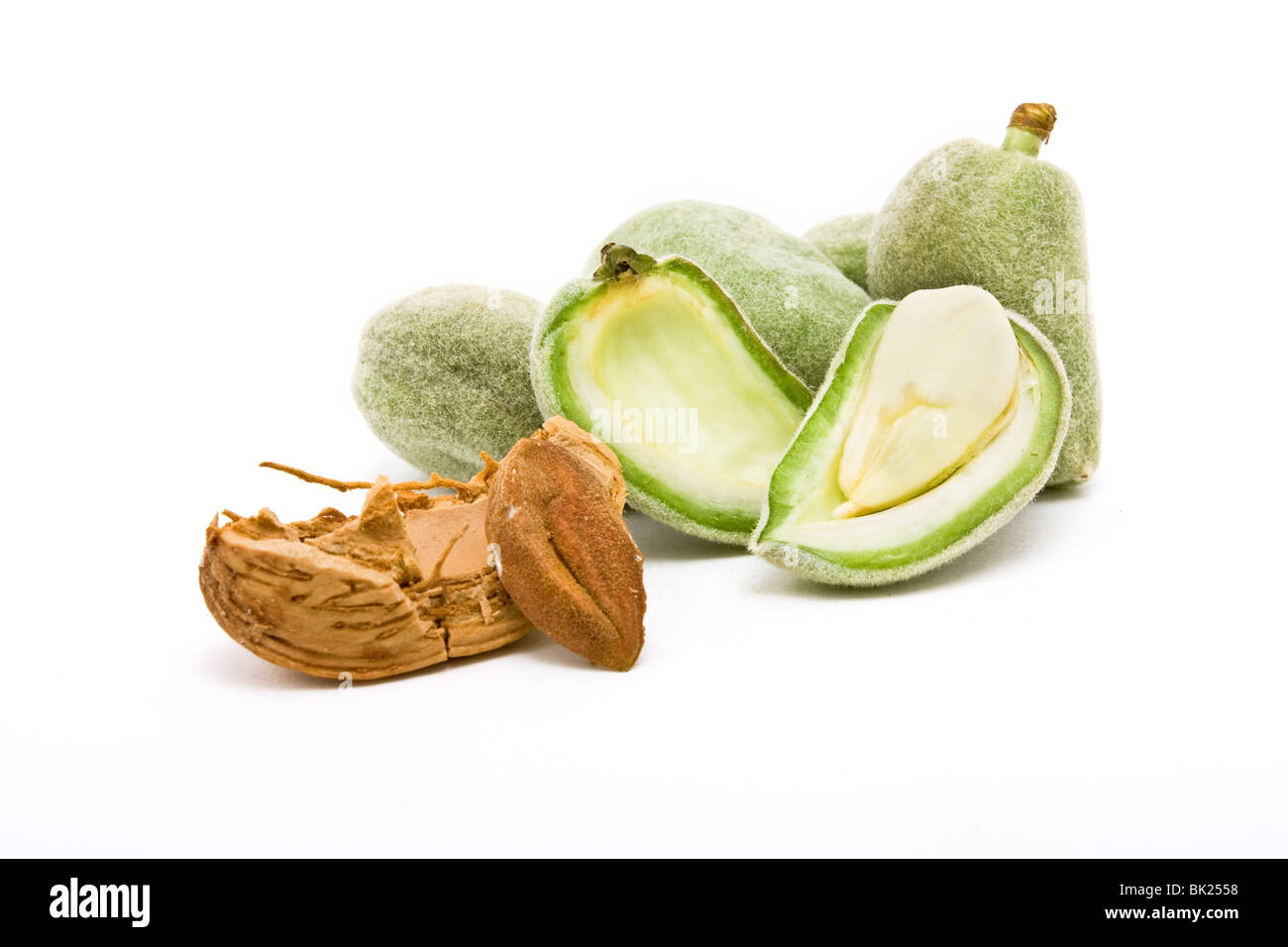 Bitter almond hires stock photography and images Alamy