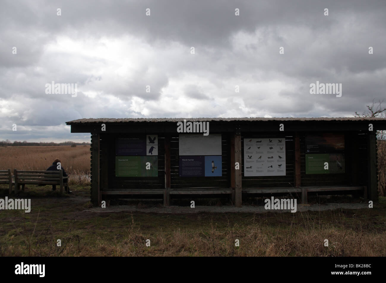 RSPB Lakenheath viewing point to marsh where common cranes are seen Stock Photo