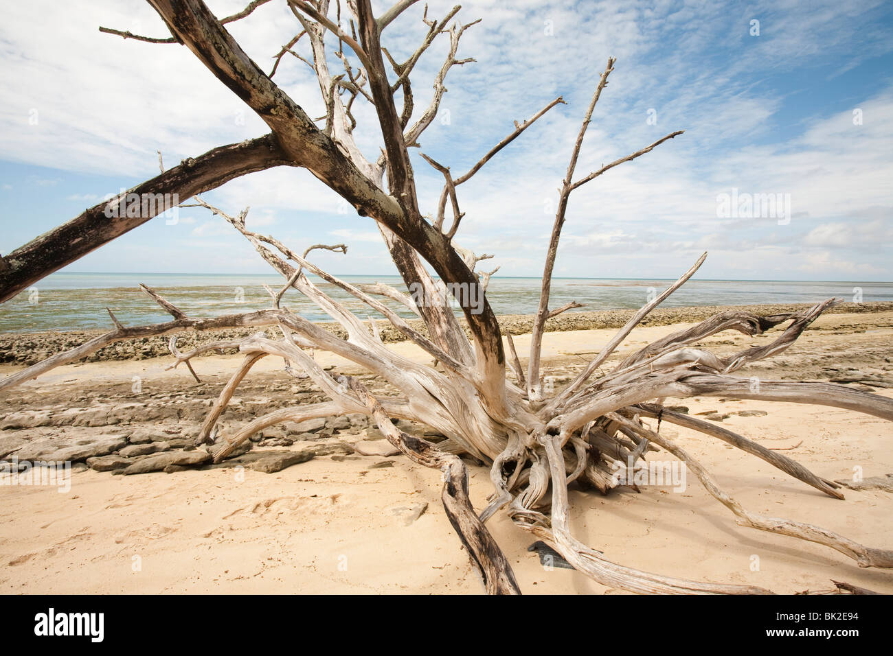 Coastal erosion on Green Island off Cairns, Australia, is a