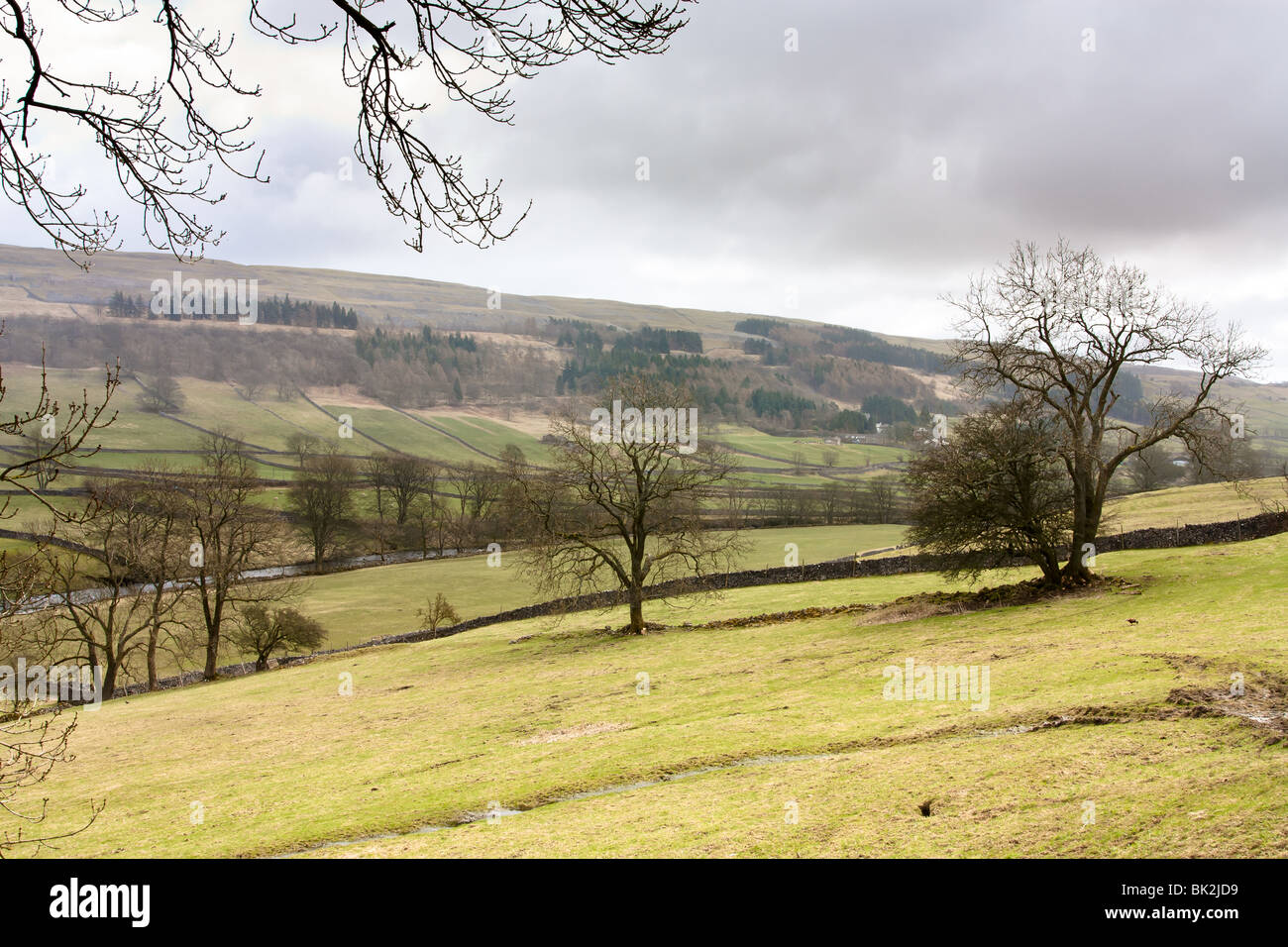 The river Wharfe, Wharfedale, Yorkshire Dales Stock Photo