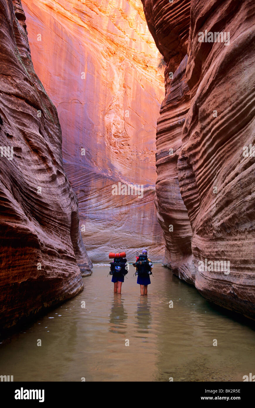 East fork of the virgin river hires stock photography and images Alamy