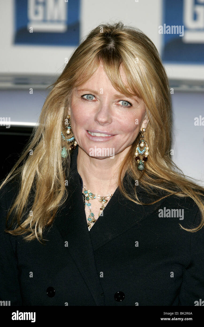 Cheryl tiegs pictures