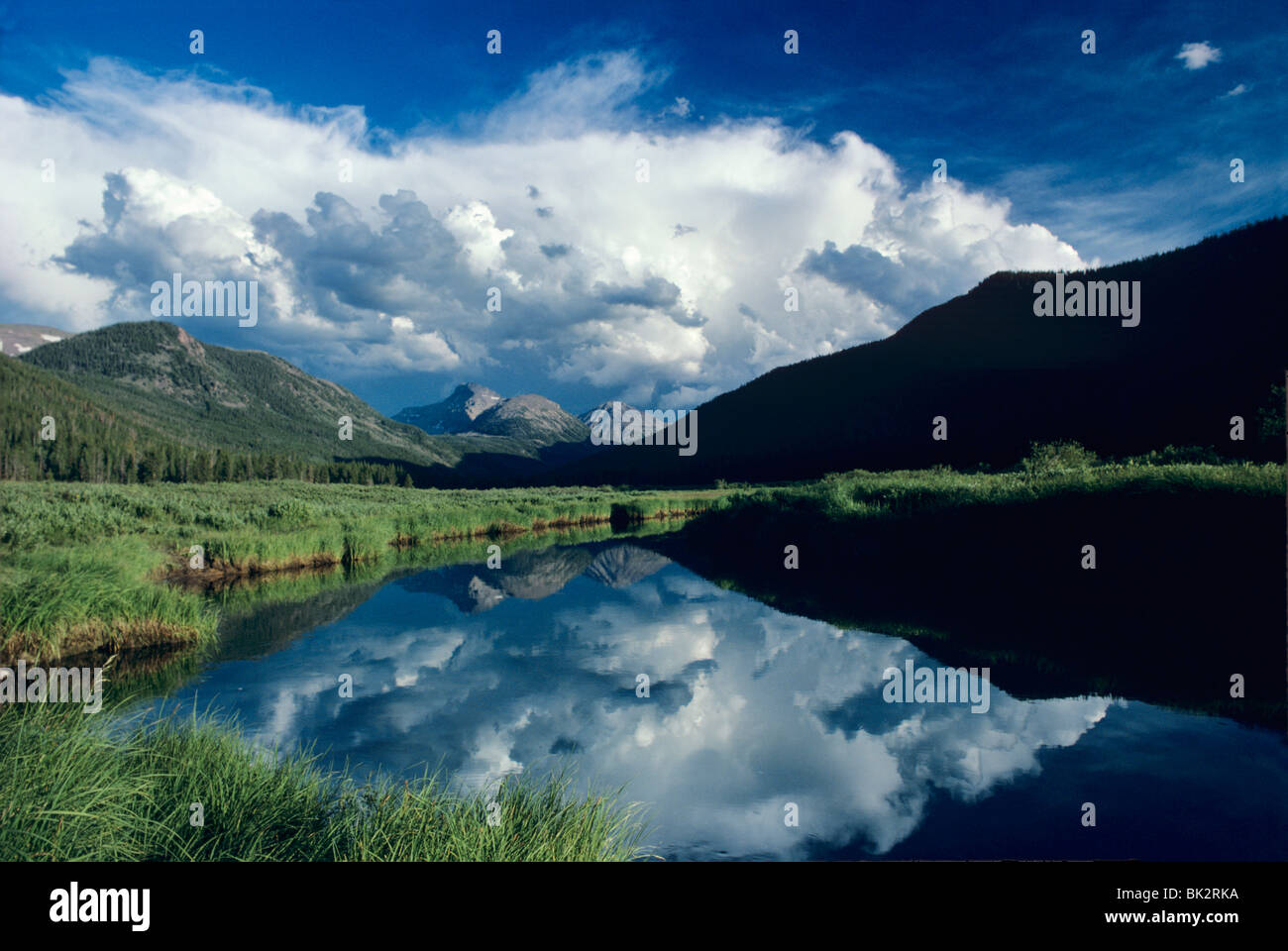 The Stillwater Fork of the Bear River pauses along Christmas Meadows in