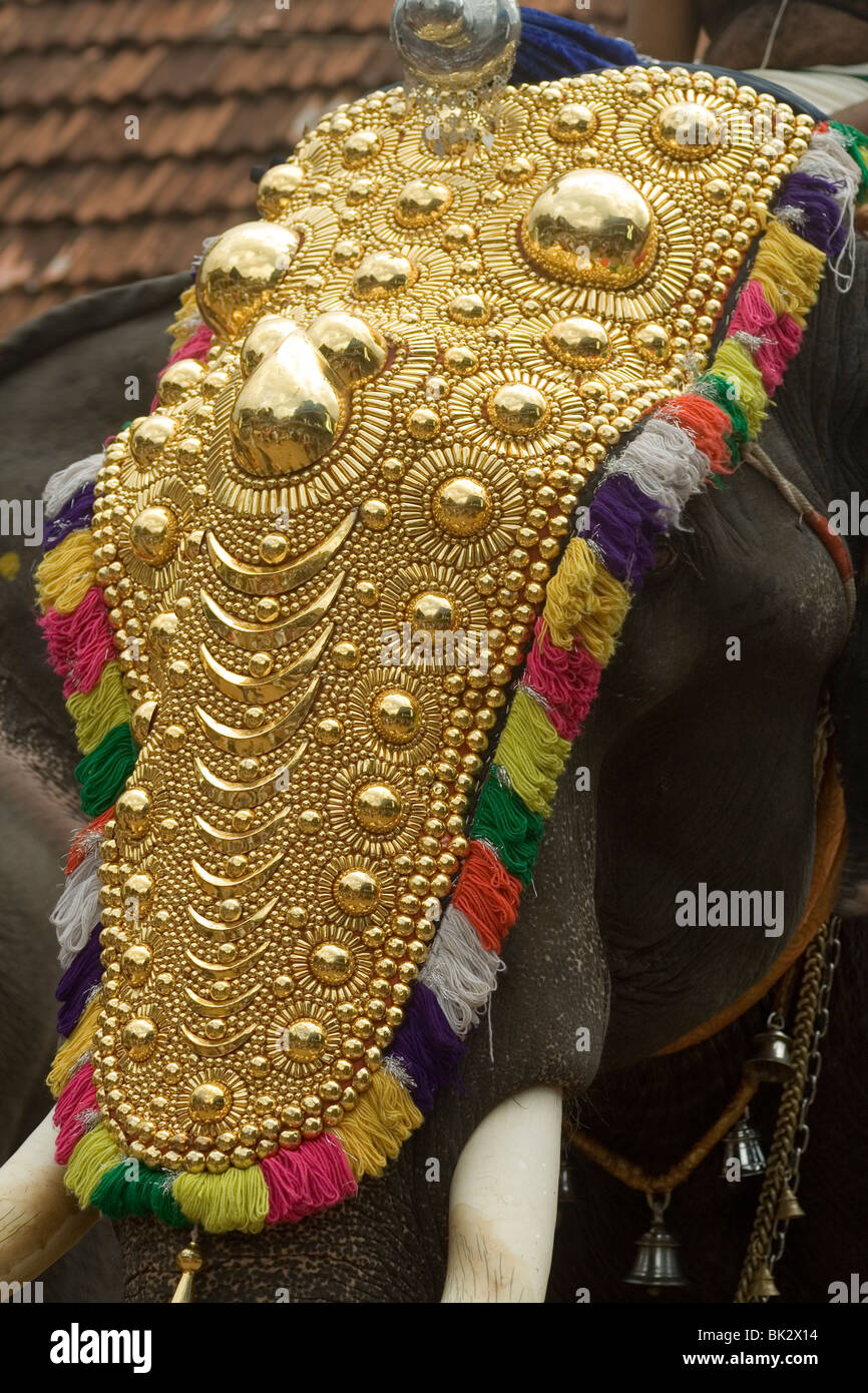 caparisoned elephant in kerala during a festival Stock Photo