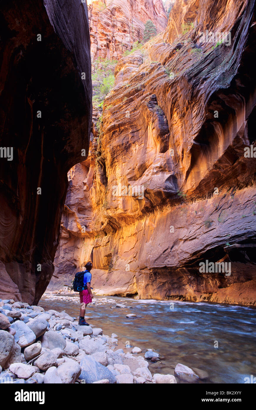 Hiking in the narrows of Zion Canyon along the North Fork Virgin River