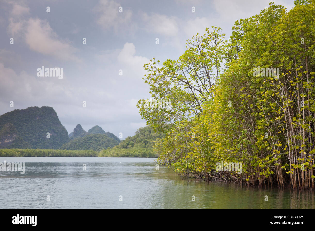 Langkawi Geopark mangroves Malyasia, granite hills in the distance Stock Photo