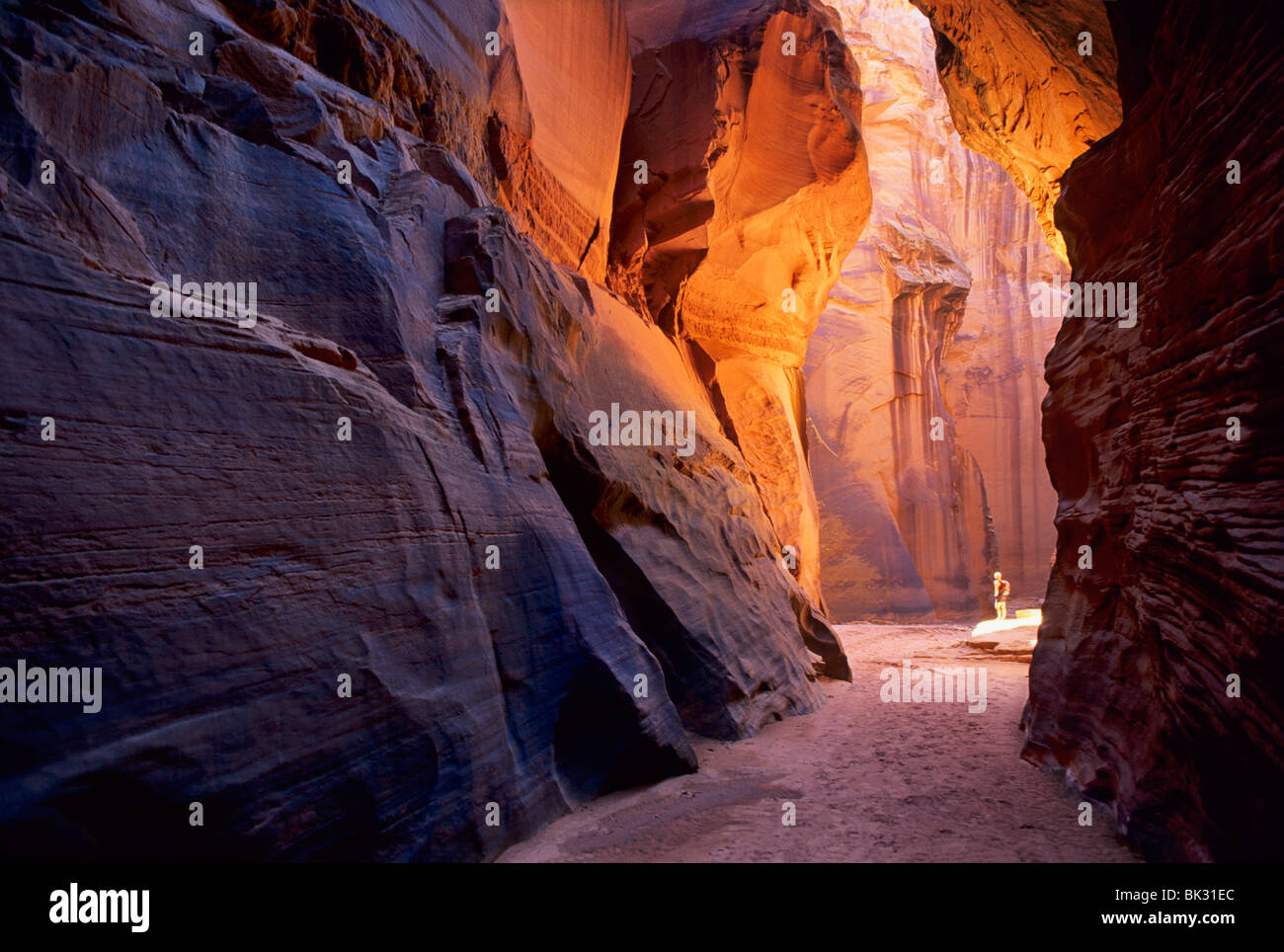 Hiker in the Navajo Sandstone narrows of Buckskin Gulch in the Paria Canyons - Vermilion Cliffs Wilderness Area, Utah. Stock Photo