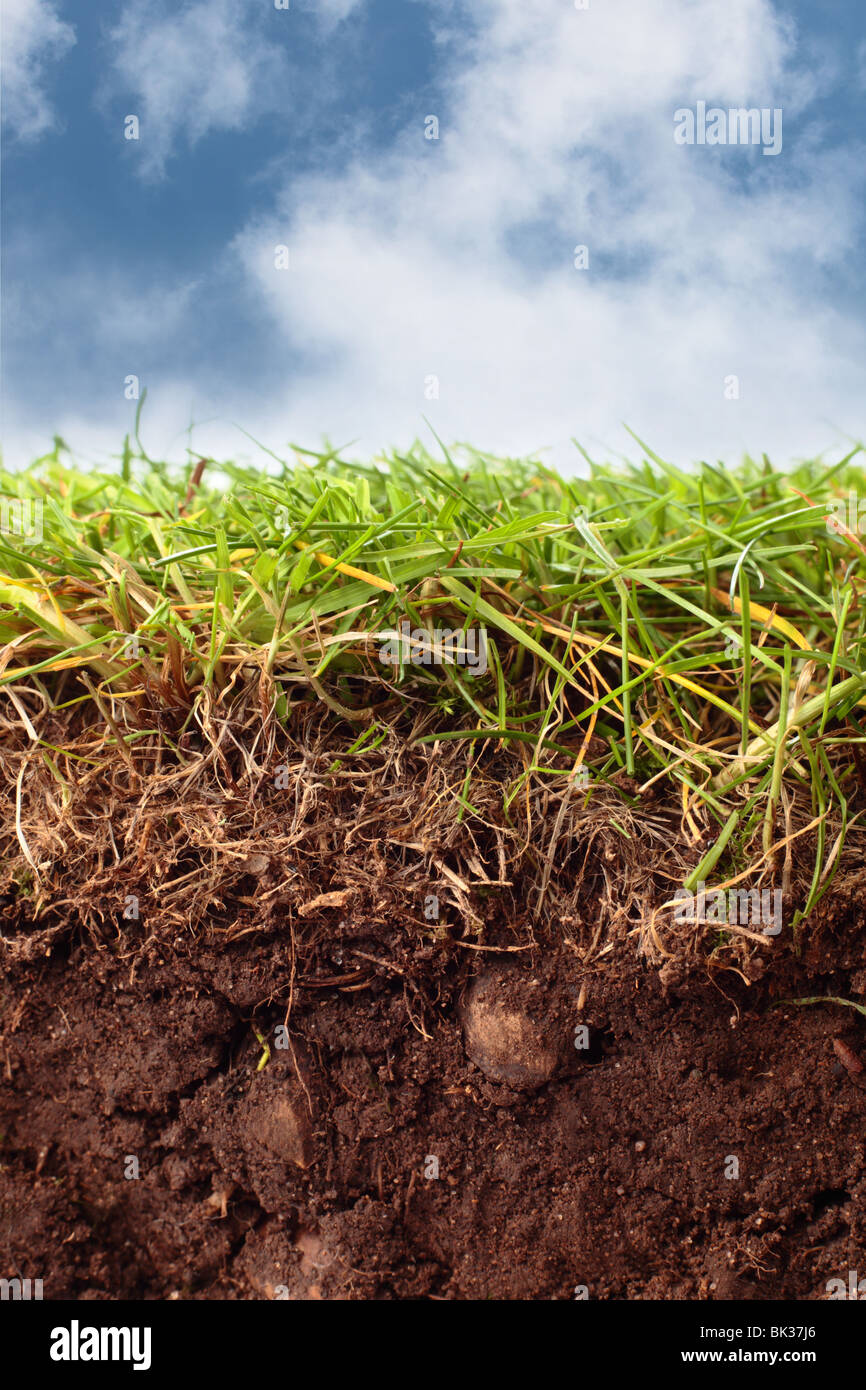 Cross section showing soil, grass and cloudy blue sky above Stock Photo ...