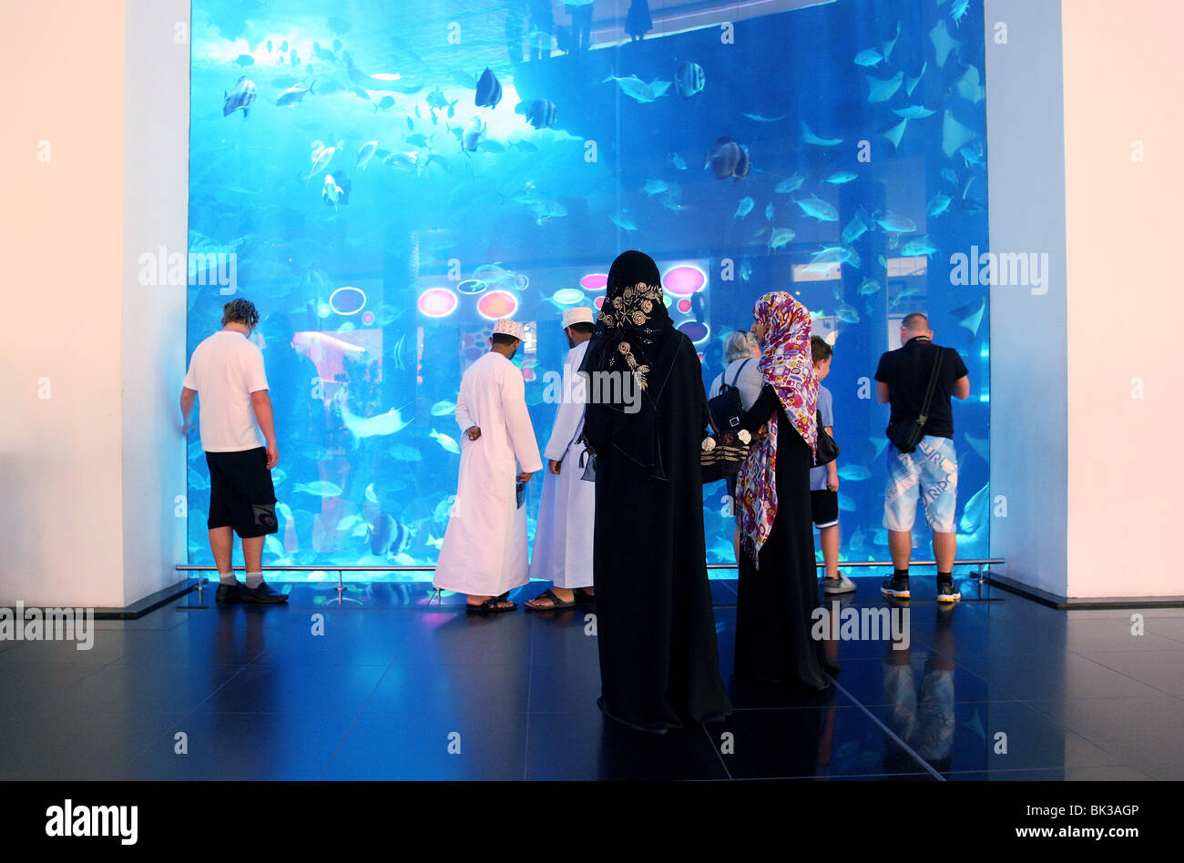 Dubai Aquarium and Underwater Zoo, saltwater aquarium in Dubai Mall, Dubai, United Arab Emirates, Stock Photo