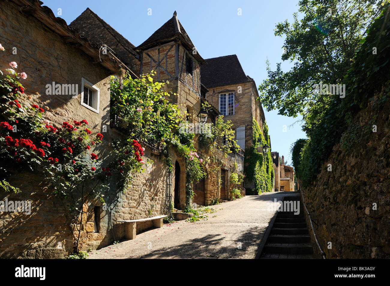 Medieval street in the old town, Sarlat, Sarlat le Caneda, Dordogne, France, Europe Stock Photo