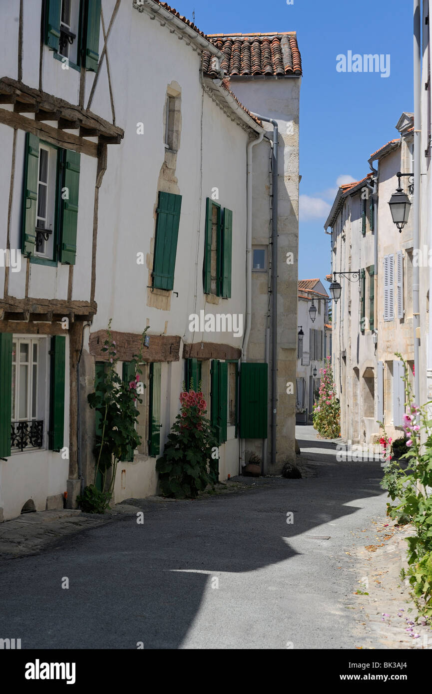 Street lined with hollyhocks, St. Martin-de-Re, Ile de Re Charente-Maritime, France, Europe Stock Photo