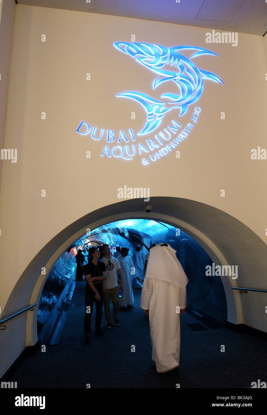 Dubai Aquarium and Underwater Zoo, saltwater aquarium in Dubai Mall