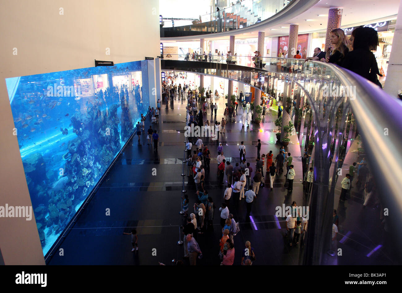 Dubai Aquarium and Underwater Zoo, saltwater aquarium in Dubai Mall