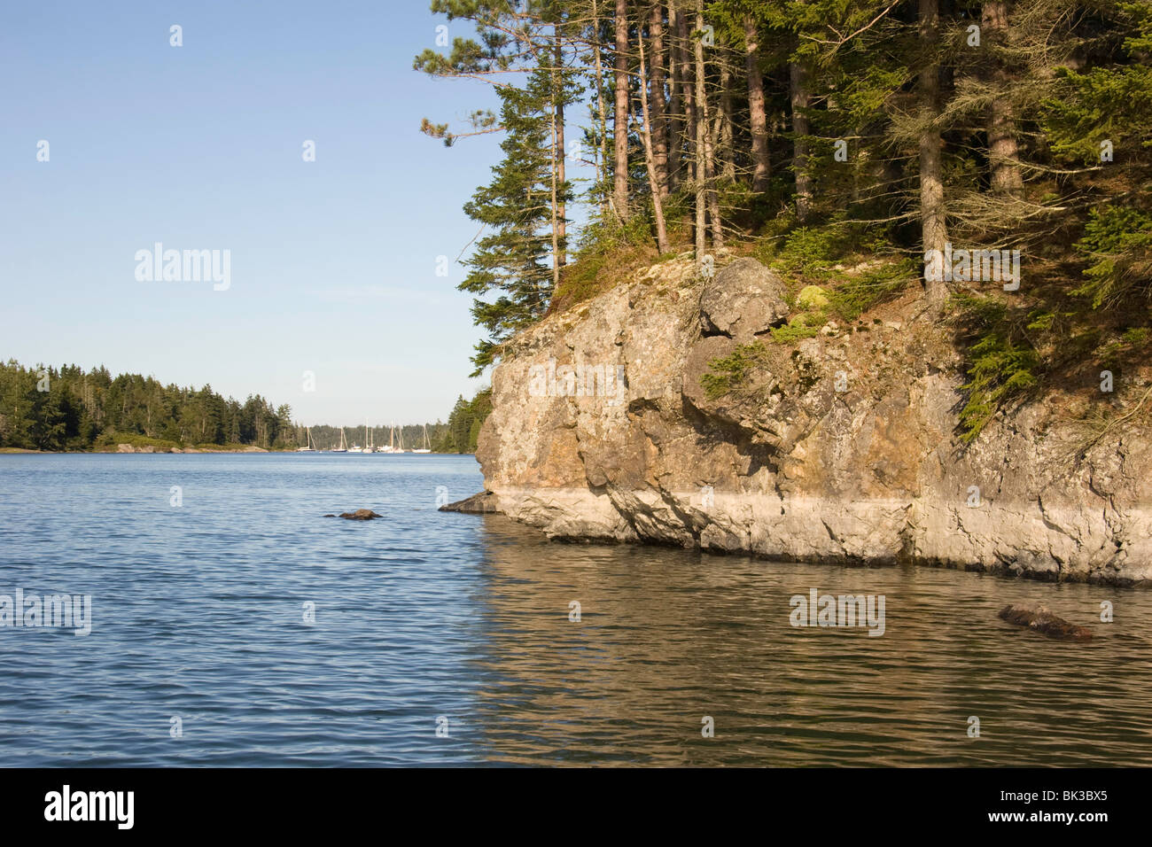 A view of Perry Creek Anchorage from up the creek at high tide Vinalhaven, Maine Stock Photo